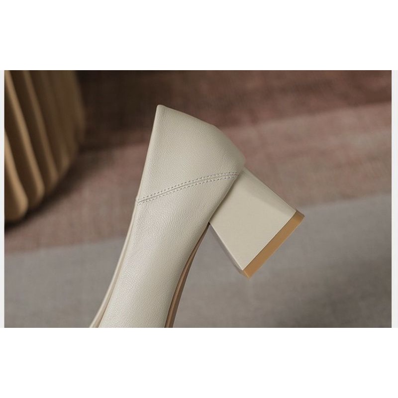 Giày công sở gót vuông da mềm khuy khoá vuông sang trọng phù hợp với váy vóc quần áo