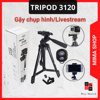 Mua Giá đỡ máy ảnh/Điện thoại Tripod TF 3120 kèm Remote chống rung - siêu bền