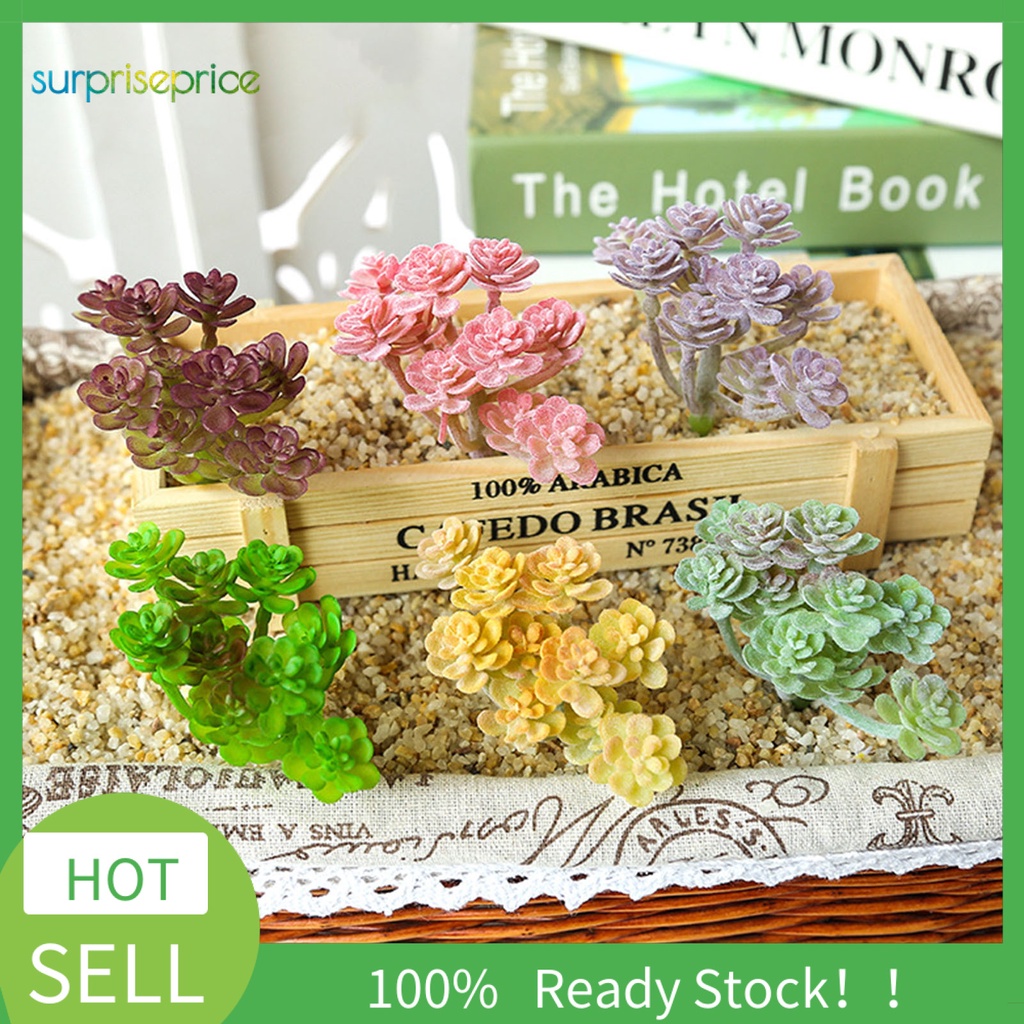 1 Cây Mọng Nước Không Phai Bằng Nhựa Trang Trí Tiệc