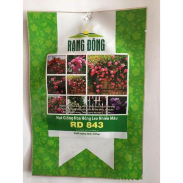 [Dễ trồng] Hạt giống hoa hồng leo nhiều màu hiệu Rạng Đông cao cấp (cam kết nảy mầm)