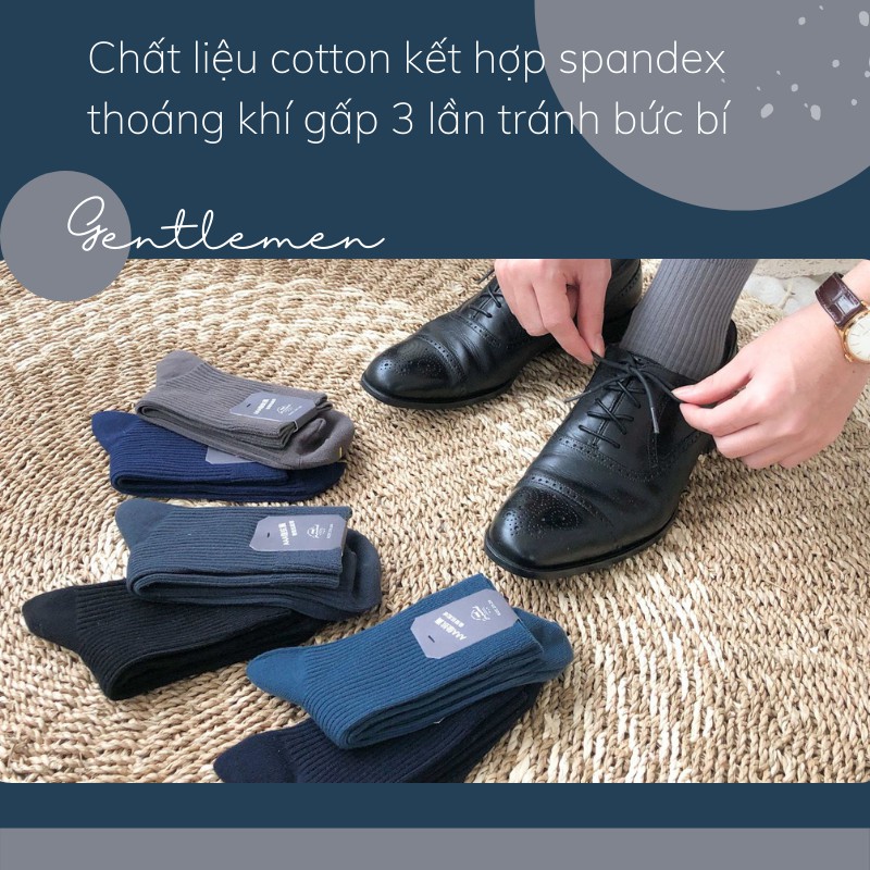 Tất cao cổ nam 7 màu Gentleman vớ công sở chất cotton chống hôi chân