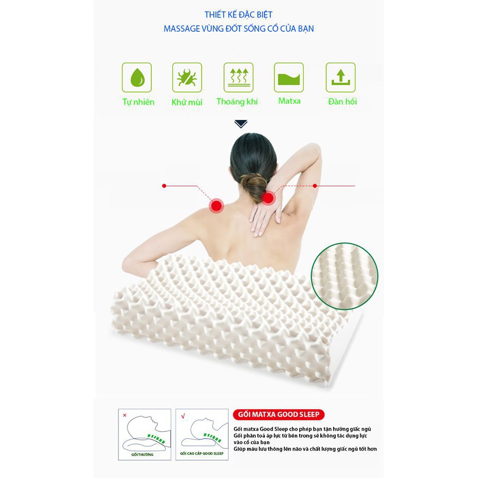 Gối cao su non Ventry cao cấp nhập khẩu Thái Lan