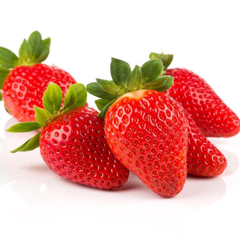 Hơn 500 Hạt Giống Dâu Tây Đỏ Strawberry Trang Nông