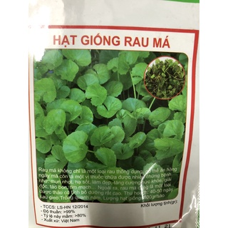 Hạt giống Rau má lá nhỏ 🌱