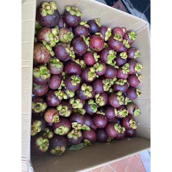 { Sale 59k/ 1kg ) 1kg Măng Cụt miền Tây- Vỏ Mỏng, Ruột ngọt, ngon [ Mangosteen ] | BigBuy360 - bigbuy360.vn