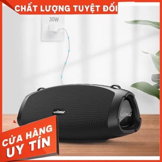 Loa Karaoke Xách Tay Bluetooth W-king D10 kèm micro - Bảo hành 12 tháng