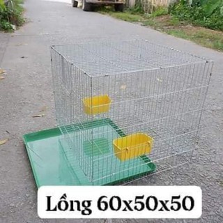 Lồng, chuồng nuôi chim, gà, thỏ, mèo kèm khay màu xanh hoặc đen