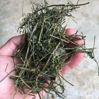 Chè giảo cổ lam