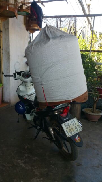 Dây thun móc lồng chim đi xe