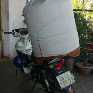 Dây thun móc lồng chim đi xe
