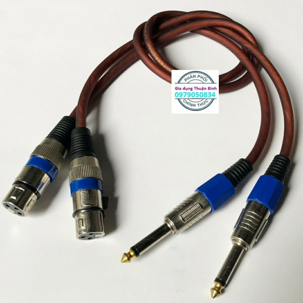 2 dây kết nối âm thanh canon cái ra 6li loại 80cm- Thuận Bình thiết bị âm thanh