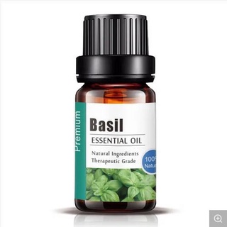 Tinh dầu thiên nhiên Húng Quế Basil