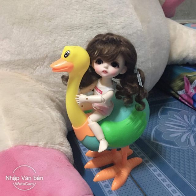 Set gấu hí và molang