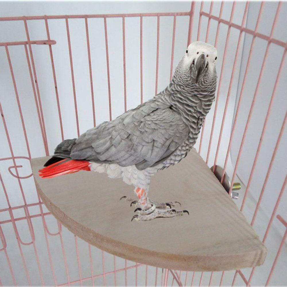 Giá Đỡ Đứng Bằng Gỗ 3 Kích Cỡ Cho Lồng Chim Vẹt / Chuột Hamster