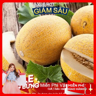 Hạt giống dưa lưới vàng f1 - 10 hạt / gói