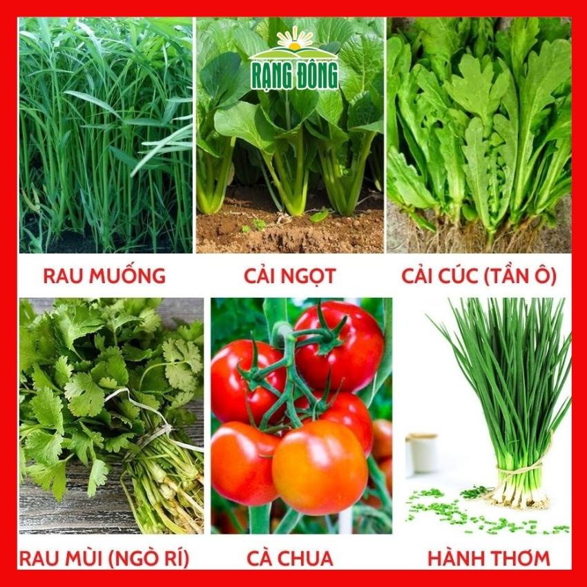 Hạt giống rau củ quả COMBO 6 loại rau trồng chậu, vườn dễ chăm sóc, tỷ lệ nảy mầm cao RADO