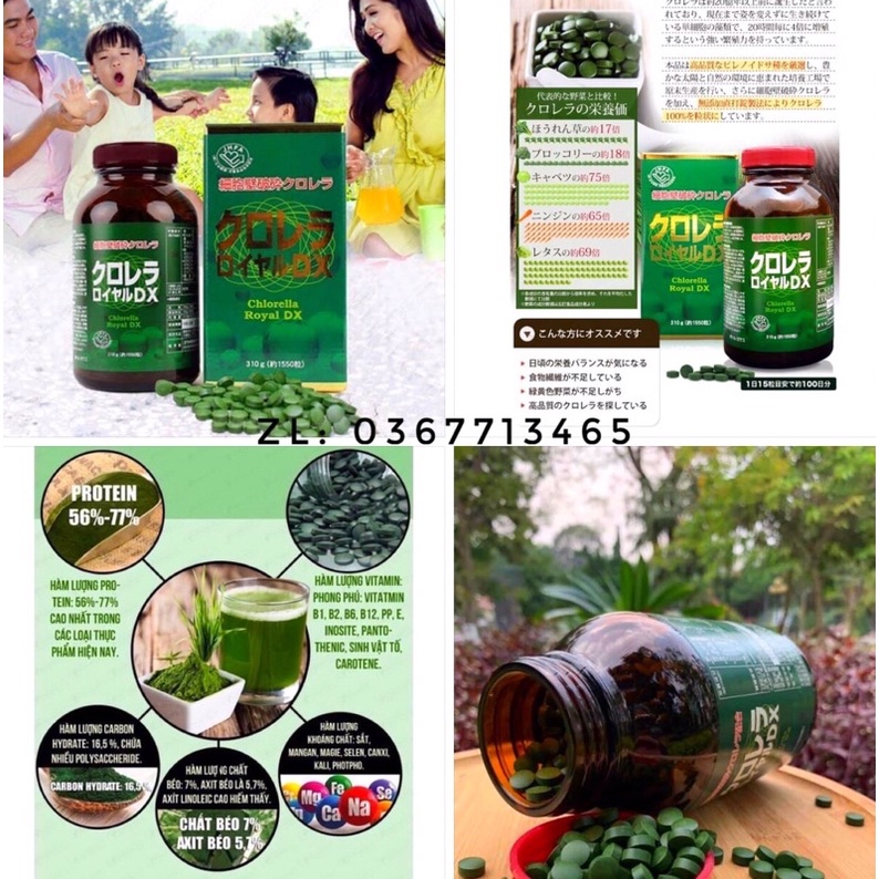 Tảo lục hoàng gia chlorella Royal DX Nhật Bản
