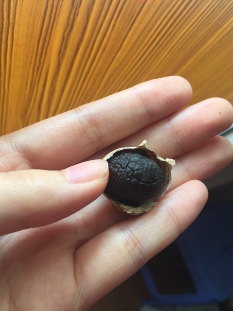 [RẺ VÔ ĐỊCH] 500gram Tỏi đen 1 nhánh công nghệ Nhật Bản | BigBuy360 - bigbuy360.vn