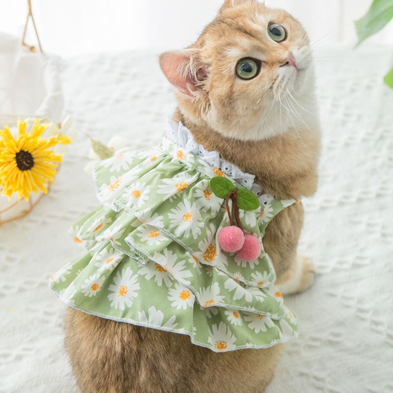 Áo Váy Cho Chó Mèo Bánh Bèo Hoa Cúc Xanh, Gấu,Dâu Chất Liệu Đũi Lụa Mát Mẻ,Áo ba lỗ thoáng mát