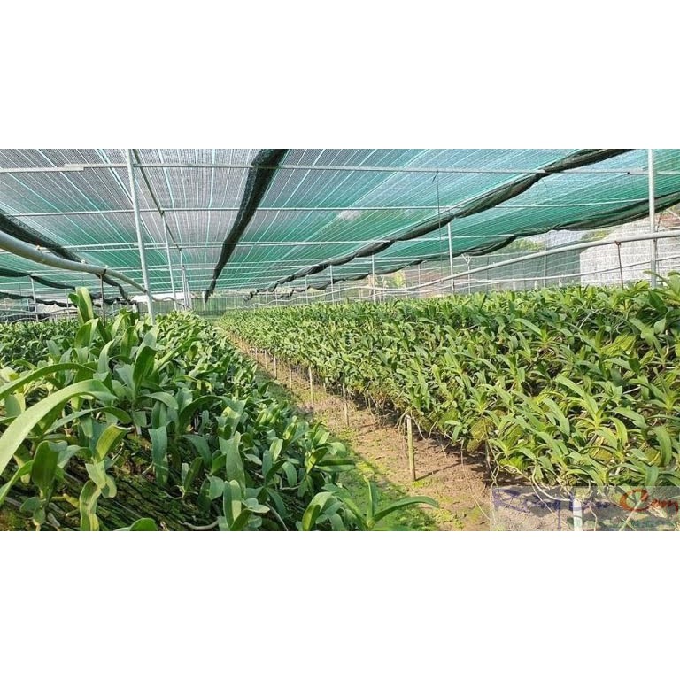 Thuốc trừ bệnh cây trồng Coc 85 urenox  gói 20g=13k dung cho hoa lan cây cảnh...sản phẩm của nhà nông