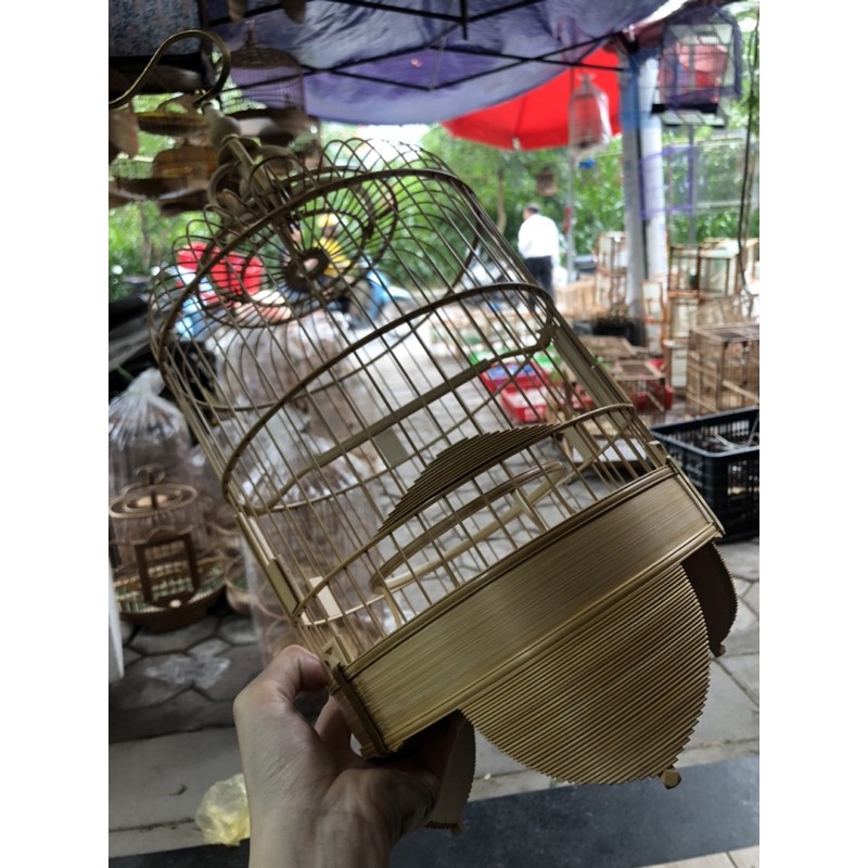 Lồng dừa tang phẳng tinh phẩm thái tử