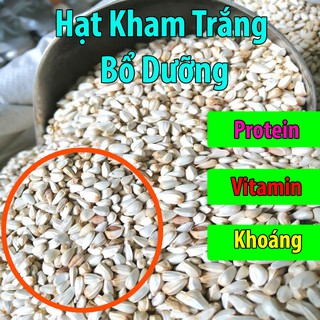 500g Hạt Kham Trắng Giàu Dinh Dưỡng Cho Vẹt-Chim-Gà-Hamster-Rat