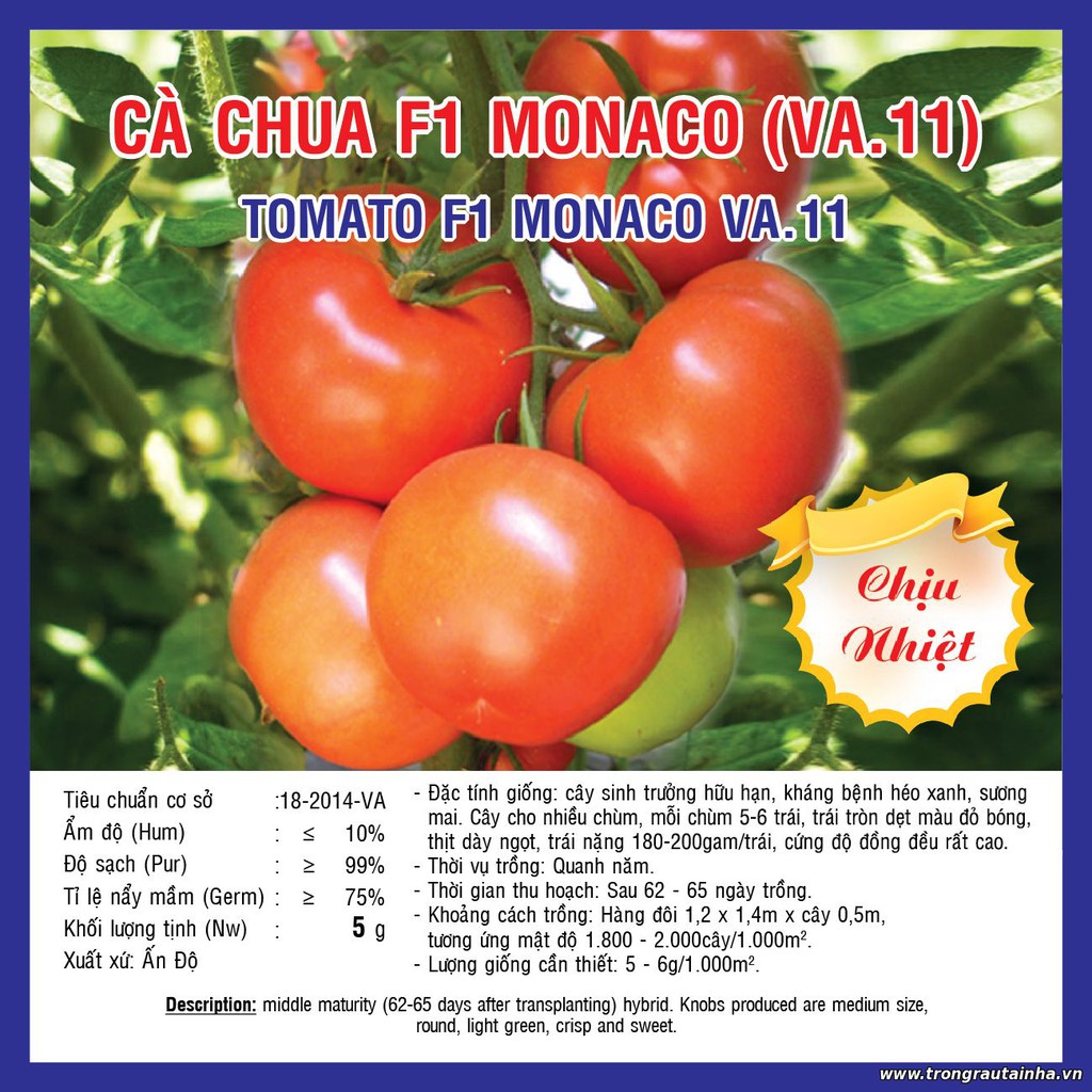 Hạt Giống Cà Chua Monaco Chịu Nhiệt - gói 0.5g