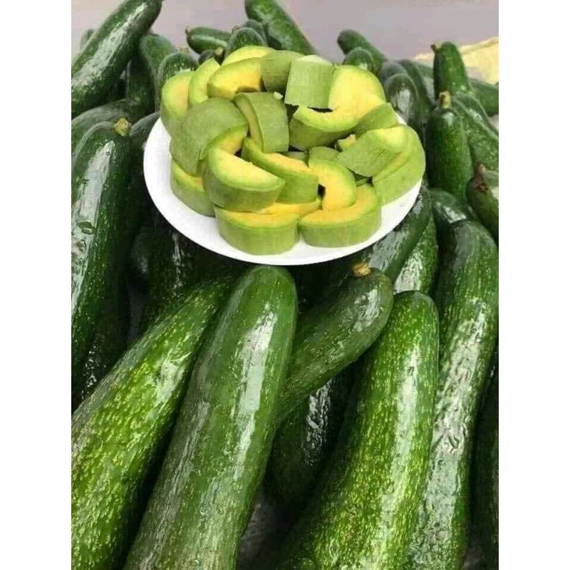 Bơ 034 Lâm Đồng