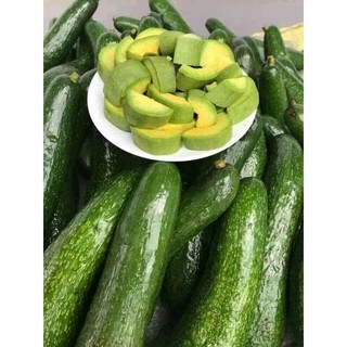 Bơ 034 Lâm Đồng