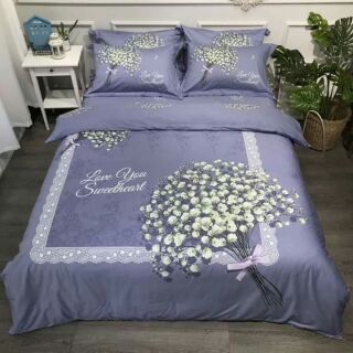 Set chăn ga gối cottong Hàn