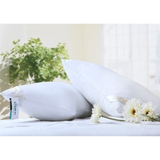 Cặp ruột gối ép hơi bao êm dày dặn
