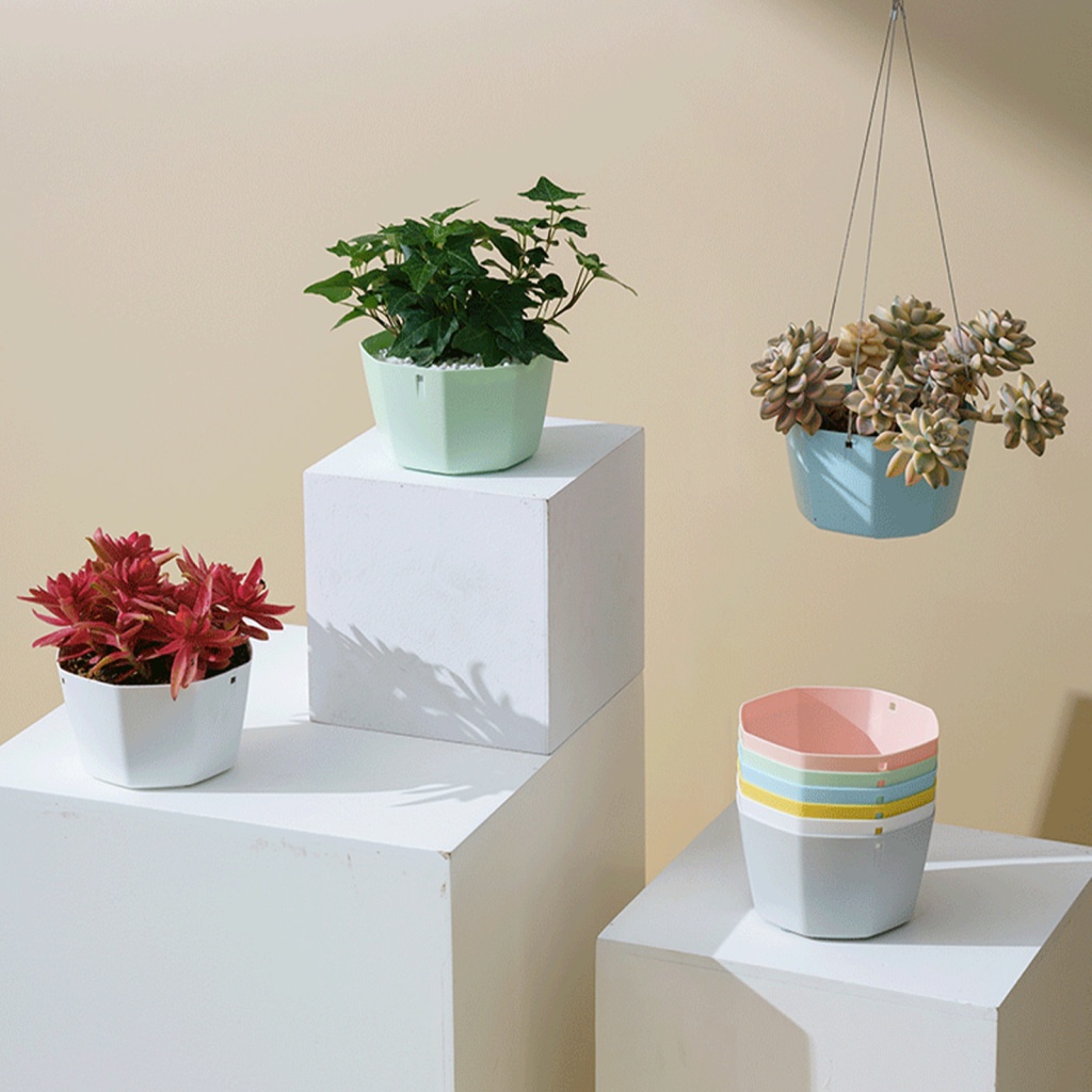 Chậu Trồng Cây Xương Rồng Bằng Nhựa 15cm Thấm Hút Tốt Có Móc Treo Độc Đáo Trang Trí Nhà Cửa / Ban Công