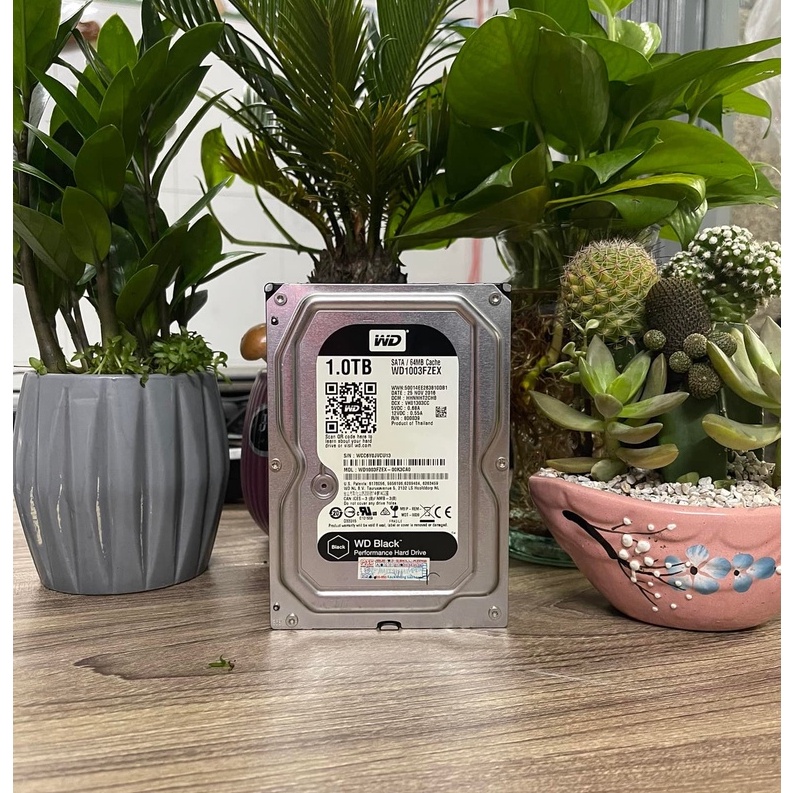 HDD - PC 250G, 500G, 1Tb, 2Tb Sata Hiệu Seagate - Westesn - Vi Tính Bắc Hải
