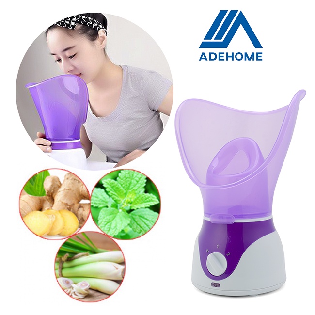 Máy xông mặt thảo dược hoa quả nóng, xông hơi nước mũi họng hương liệu mini thông minh cao cấp NTFS-618