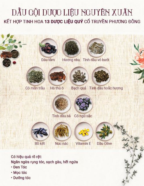 Dầu gội Dược liệu Nguyên Xuân 200ml - 250ml | BigBuy360 - bigbuy360.vn
