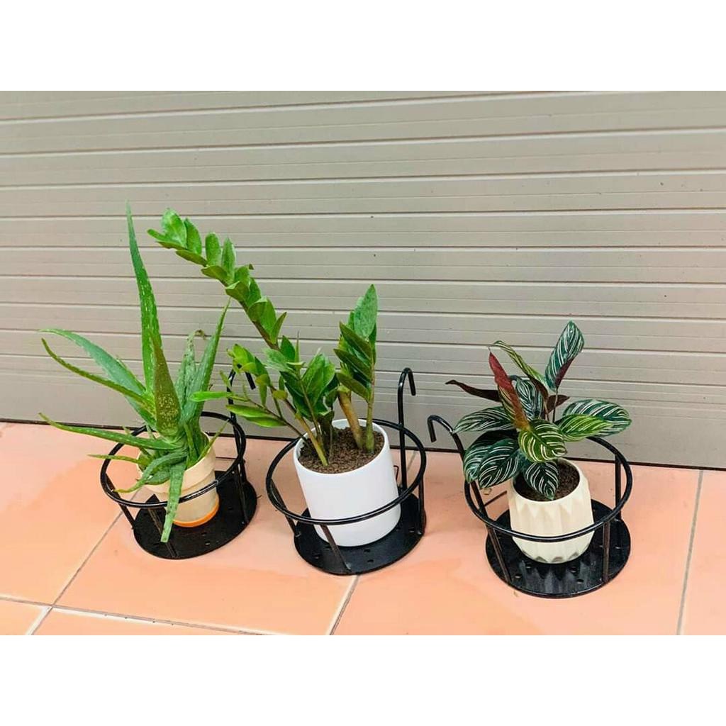giỏ treo ban công trồng hoa [Giá hủy diệt] [Rẻ vô địch] [Có sẵn]