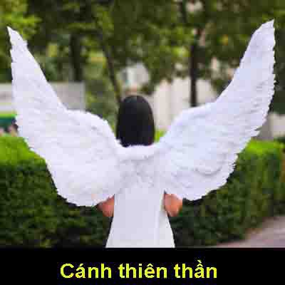 (M09) CÁNH THIÊN THẦN-giá rẻ