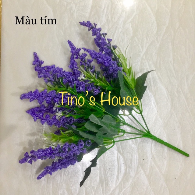 Chùm Hoa Lavender - Loài Thảo dược Tình Yêu, Tượng Trưng Cho Sự Chung Thuỷ.