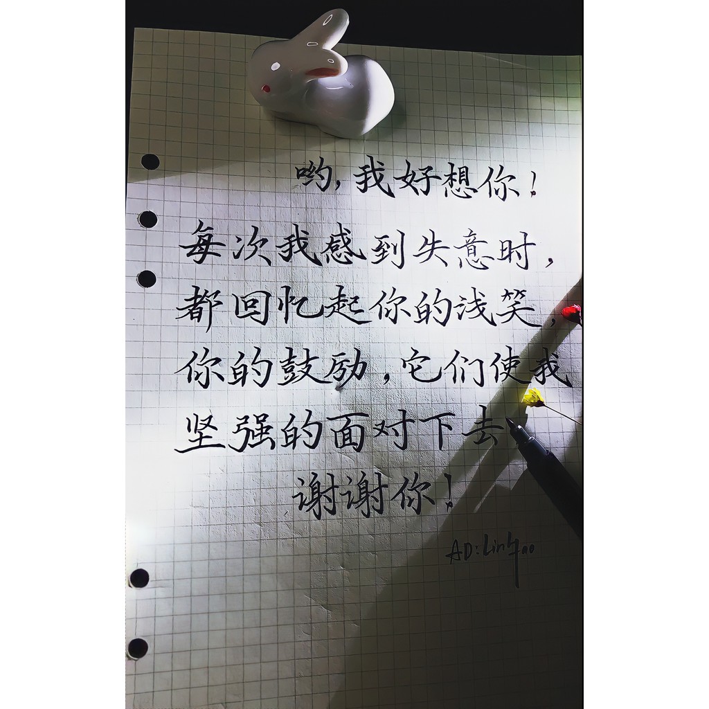 Bút Odemei thanh đậm viết chữ, bút viết chữ thanh đậm 0.7m ~0.8m- TL10