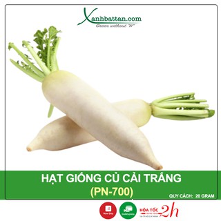Hạt giống củ cải trắng phú nông gói 20 gram