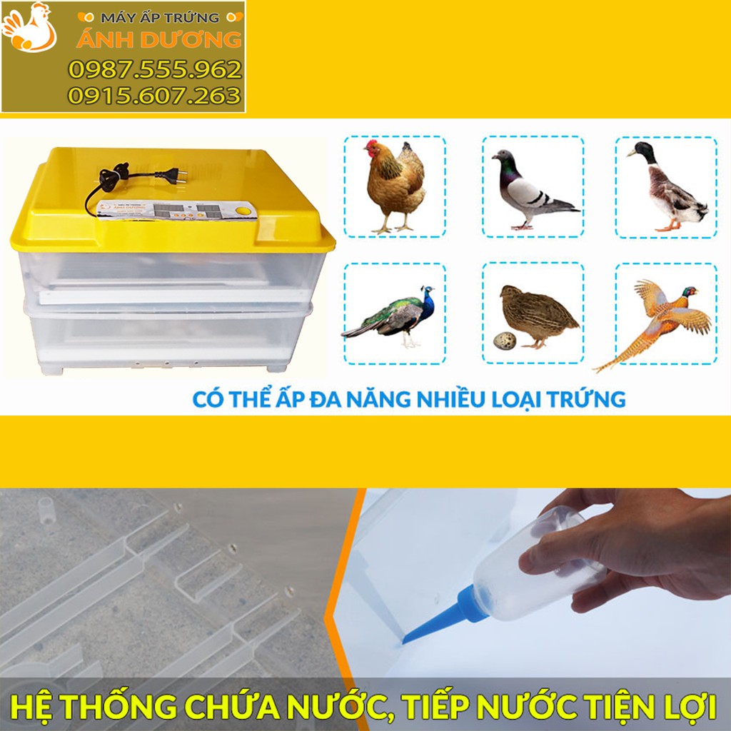 [HOT] Máy ấp Ánh Dương A100 ấp 100 trứng gà, vịt, ngan, bồ câu, chim cút, nở trên 95% - Khay đảo nhôm