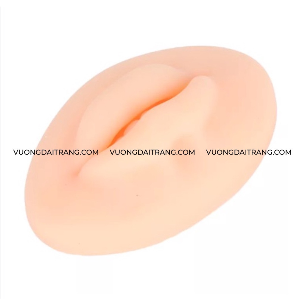 Khuôn môi silicon 3D tập phun xăm