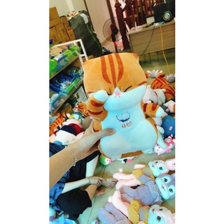 Gấu bông Mèo thần tài 40cm-Gấu bông mèo dụi mắt cao cấp