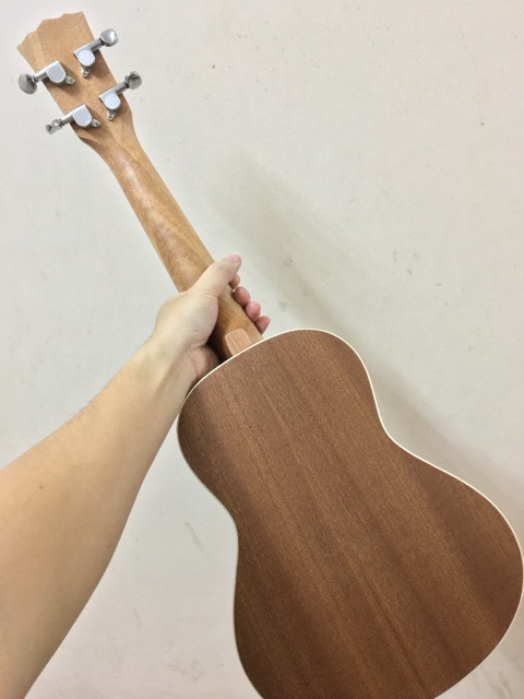 ĐÀN UKULELE CONCERT LYRIC