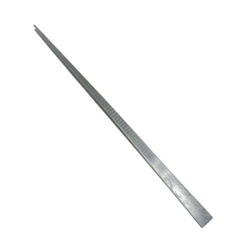 Nhíp gắp ráy tai