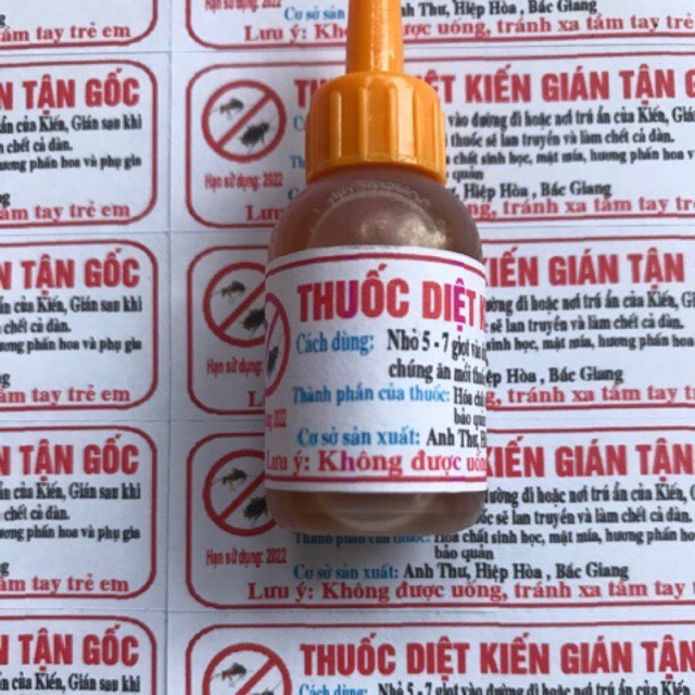 Thuốc diệt kiến, diệt dán thần thánh