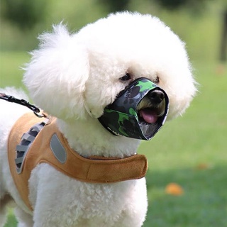 Dọ mõm vải