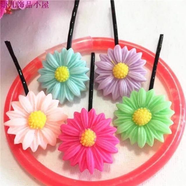 Kẹp hoa cúc màu sắc