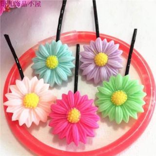 Kẹp hoa cúc màu sắc