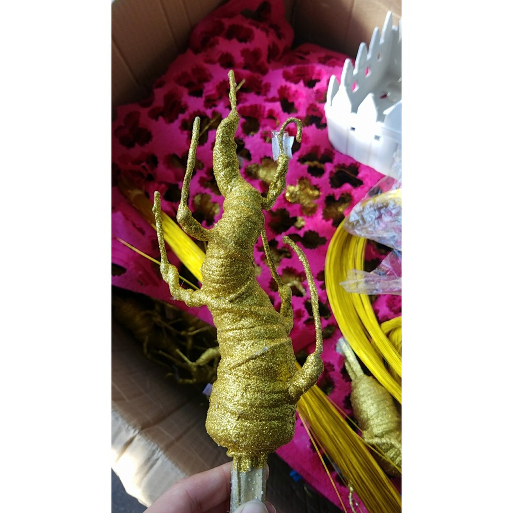 thây cây kim tiền nhiều size
